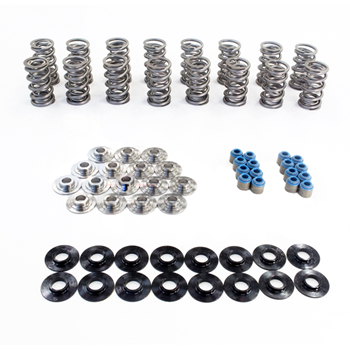 [Texas-0018] Texas Speed Valve Spring Kit 199-750PAC